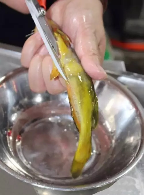 【熱賣菜】酉水魚家鮮