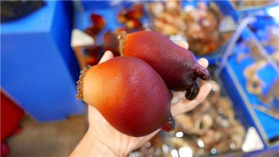 這種最奇特的海鮮食材，你見過嗎？