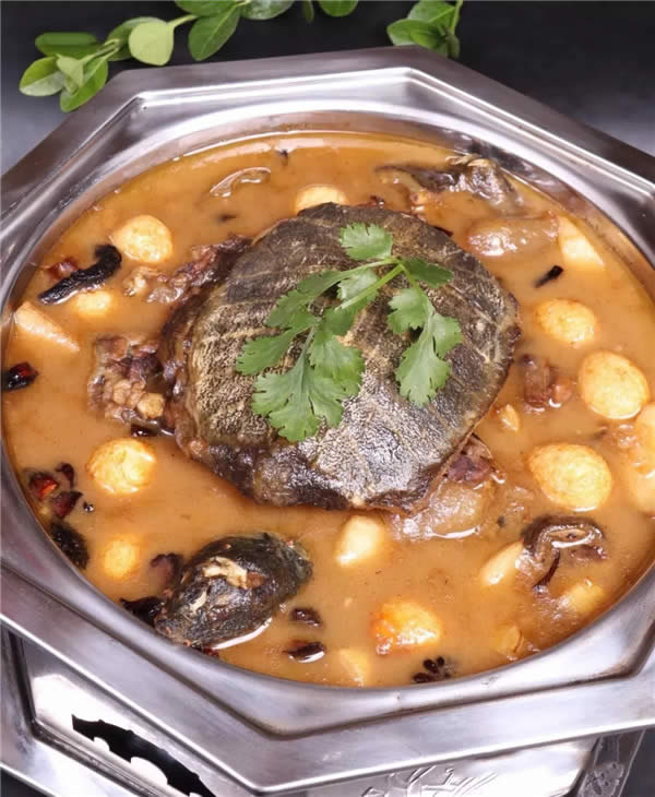 【酒樓菜】私房甲魚