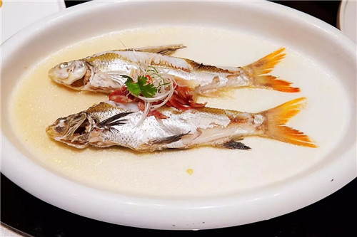 這種鯽魚，有錢都買不到！