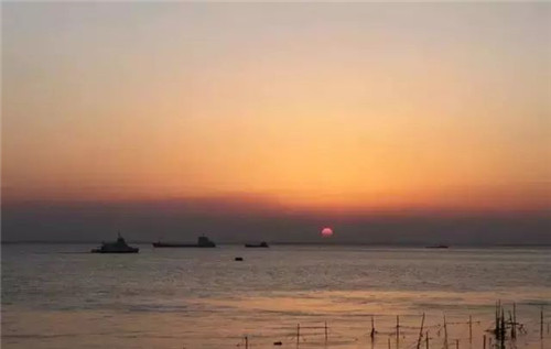 江刀、海刀、明前刀……原來刀魚還可以這樣分！