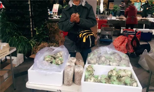 這種菌長得神似靈芝，還被譽為“天山神菇”！