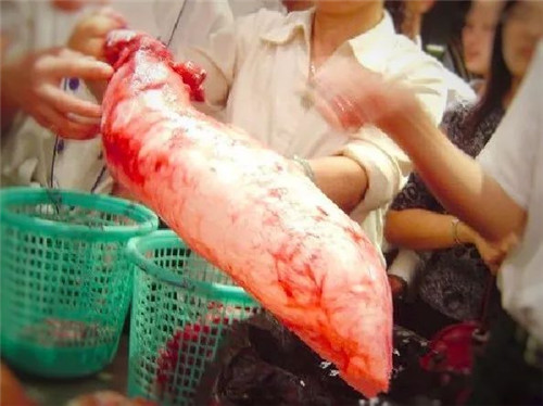 【魚膠】水中燕窩，遠比黃金珍貴！
