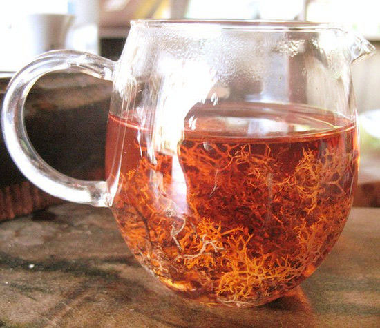 紅雪茶