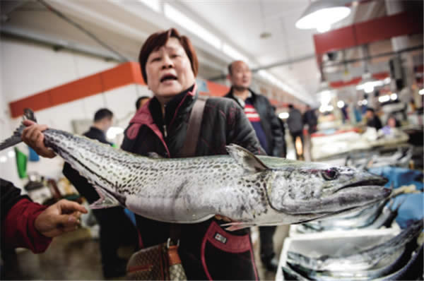 你的餐館正缺一道馬鮫魚！