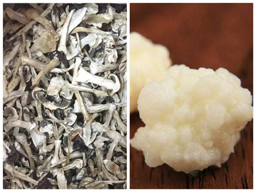 這兩種同樣名為“雪菌”的食材，你都見過嗎？