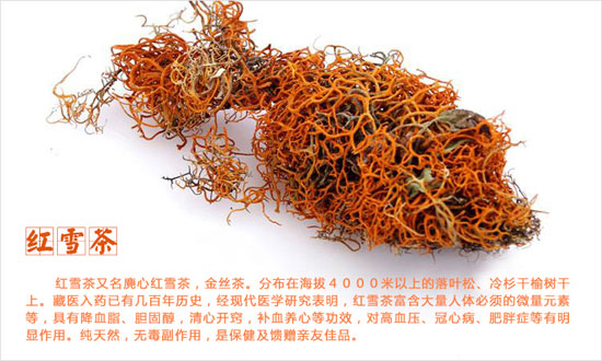 紅雪茶的功效與作用