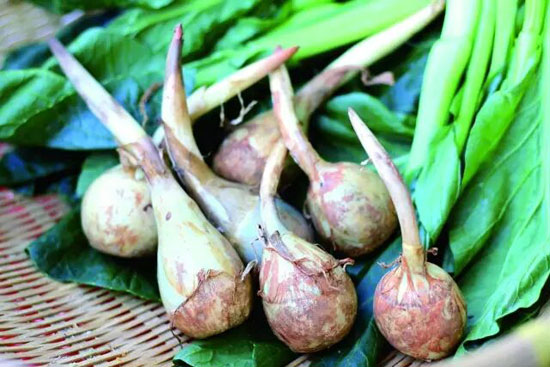 茨菰的營養(yǎng)價值