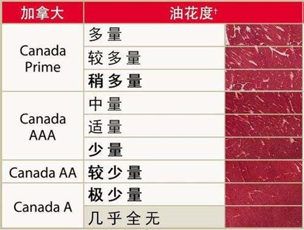 牛肉等級劃分標準詳解，原來A5和牛并非最好！
