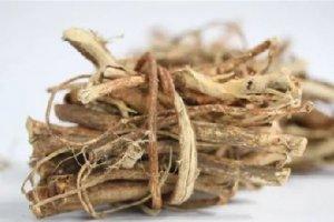 有“廣東人參”之稱的老火湯料