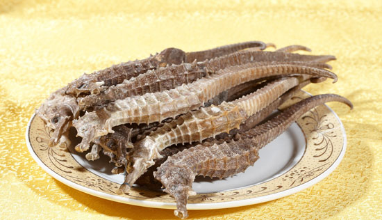 【海馬】由雄性孕育后代的補腎食材——海馬