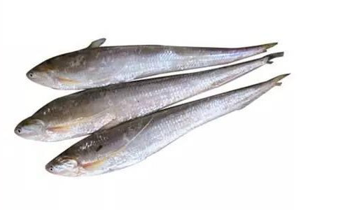 16種春季時(shí)令魚，你做過(guò)多少種？