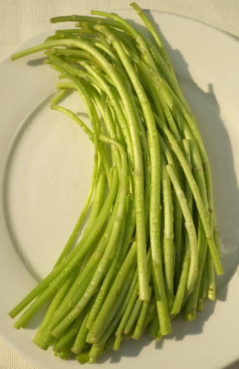 【春季食材】 草長鶯飛，吃春正當時