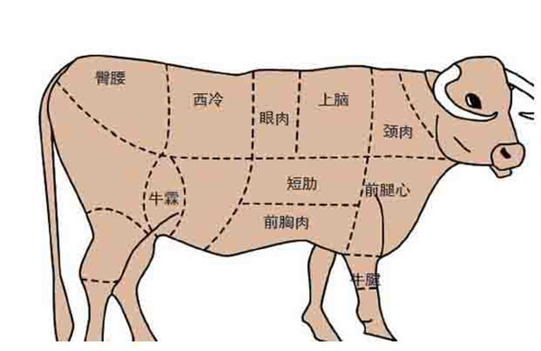 一頭牛全身寶，可你知道各個部位應該怎么做最好吃嗎？.jpg