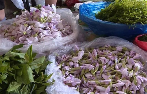一桌鮮花即成宴！帶你領略云南鮮花宴的魅力！