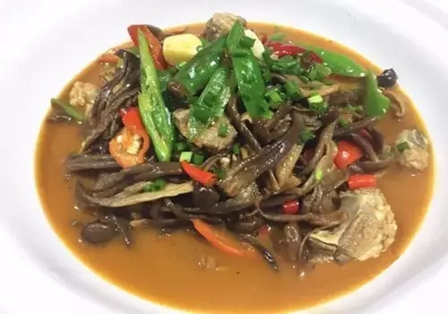 比鹿茸還強(qiáng)大的菌，你見過嗎？