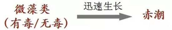 廚師注意：已有多地發生食物中毒事件，這種食材近期別采購！