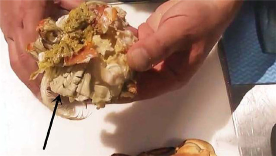 這種肉蟹，蟹黃竟然比蟹足足多10倍！