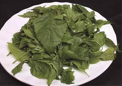 【創新菜】