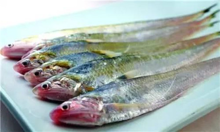 肉質(zhì)鮮美的刀魚親戚，粵廚卻更喜歡它的…