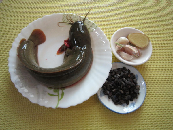 【塘鲺】這種魚原來是有名的滋補品——塘鲺魚