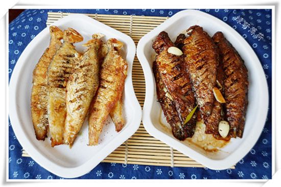 【馬口魚】珍貴淡水魚類——馬口魚