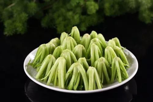 原來，一直扔掉的部位，才是菠菜的精華所在！