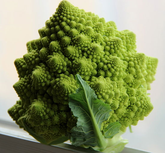 這種花椰菜，形狀得真像金字塔！