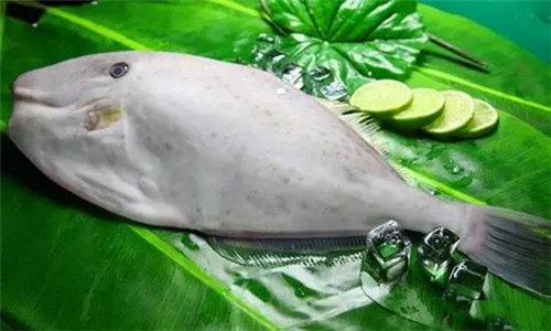 【耗兒魚】這種魚無名無頭，卻是川渝一帶最喜歡用食材
