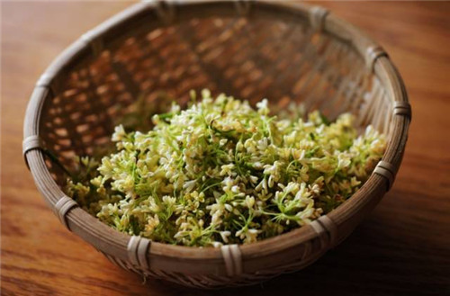 【桂花】沁人心脾的香味，甜香氤氳的食材