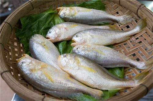 16種春季時(shí)令魚，你做過(guò)多少種？