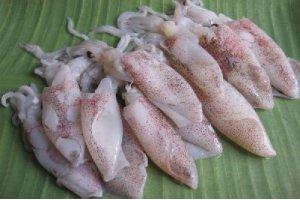 如何把大魷魚的尾巴，改刀成一只小魷魚？