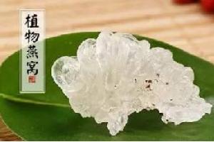 這種燕窩，100個廚師也沒見過！