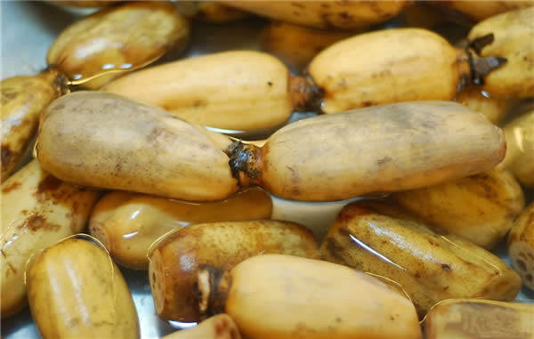 【蓮藕】夏季餐桌又添一道菜