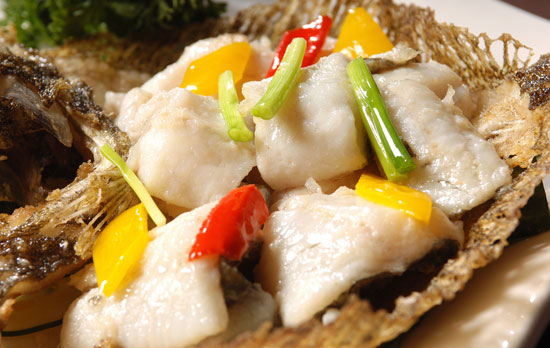 【多寶魚】肉嫩味鮮的名貴比目魚——多寶魚