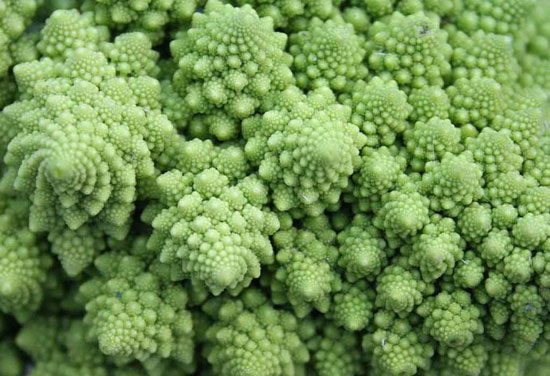 這種花椰菜，形狀得真像金字塔！