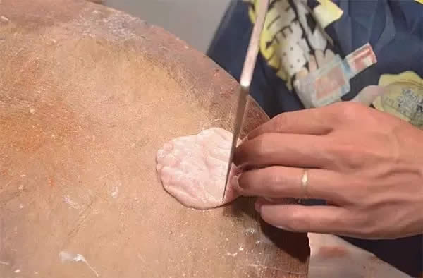 【鄉(xiāng)土菜】面塊煮雞腎
