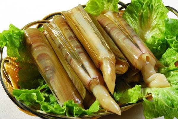 這些帶殼的家伙，你都分得清嗎？