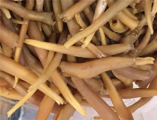 這種干貨口感遠超鮮品，你有沒有用過？