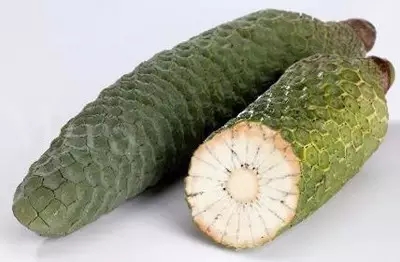 28種奇異果子，認(rèn)識(shí)一半算你牛X！