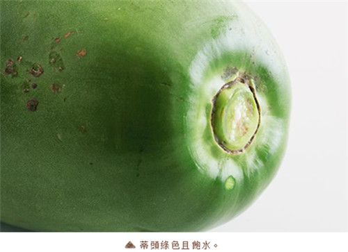 夏天用它做菜，清爽解膩又開胃！