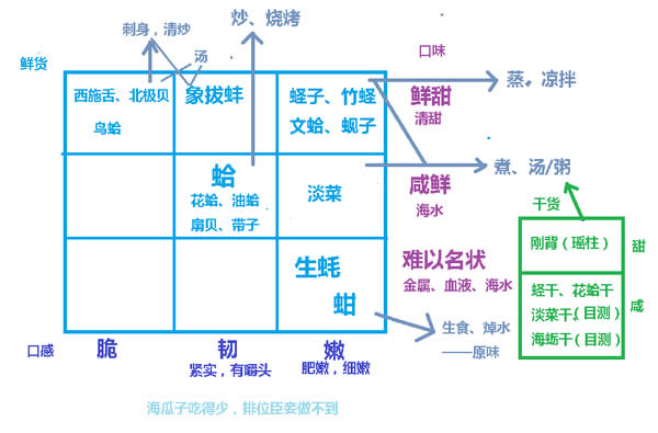 這些帶殼的家伙，你都分得清嗎？