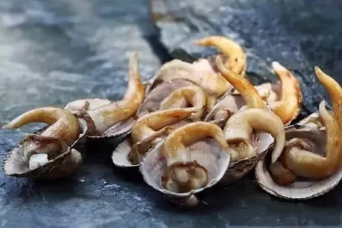 【粵菜】鐵板燒鳥貝