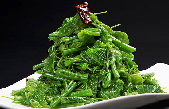 【云龍菜】山野菜之王——云龍菜的營養價值