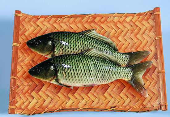 鯉魚的營(yíng)養(yǎng)價(jià)值