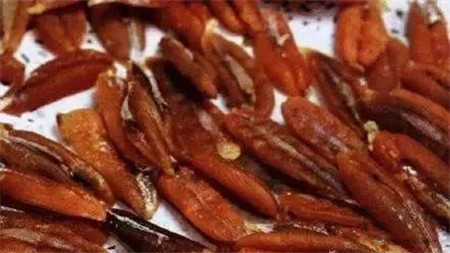 肉質(zhì)鮮美的刀魚親戚，粵廚卻更喜歡它的…