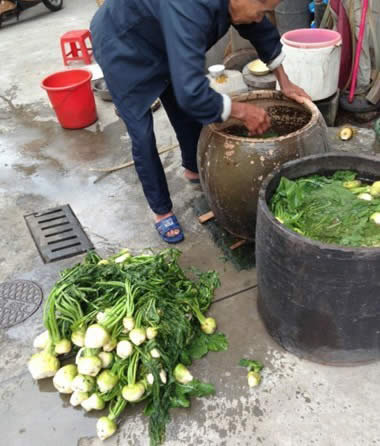 它，被廣東人稱為“本地鮑魚”，卻還十分便宜！
