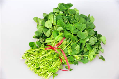 春季野菜之王，大眾食客的最愛！