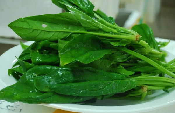 【菠菜】菠菜里的寶，你們知多少？——菠菜