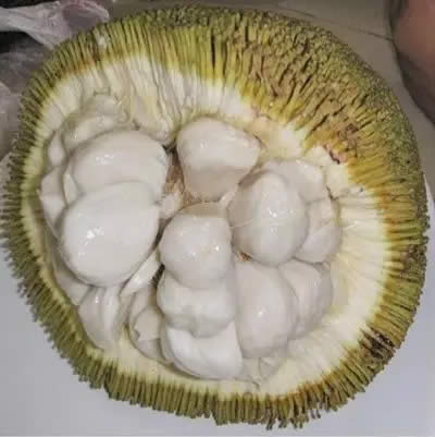 28種奇異果子，認(rèn)識(shí)一半算你牛X！